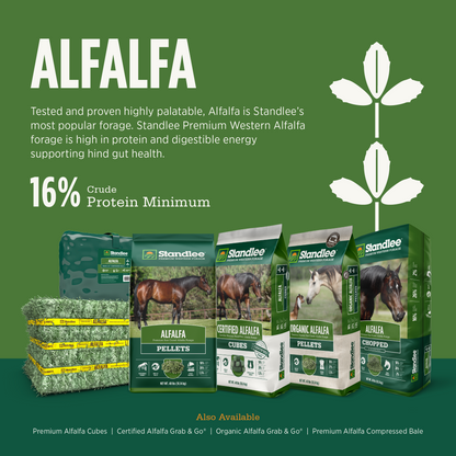 Alfalfa Grab & Go Bale - 50lbs