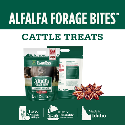 Alfalfa Forage Bites for Cattle - Star Anise Flavored