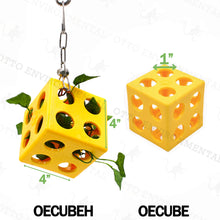 Cube Foraging Feeder
