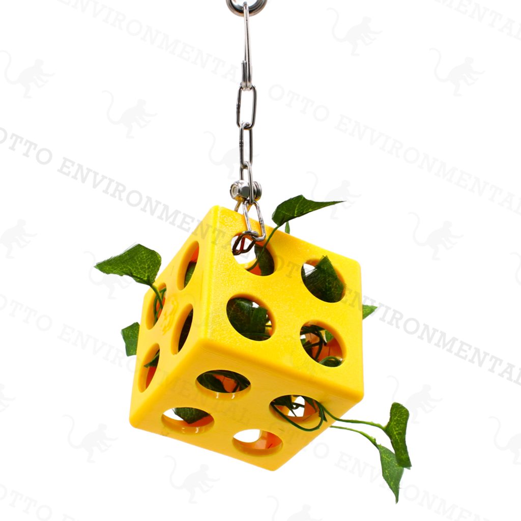 Cube Foraging Feeder