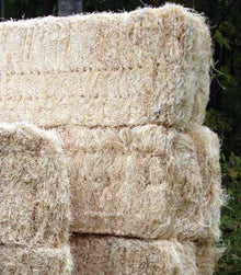Baled Excelsior - 75 lb