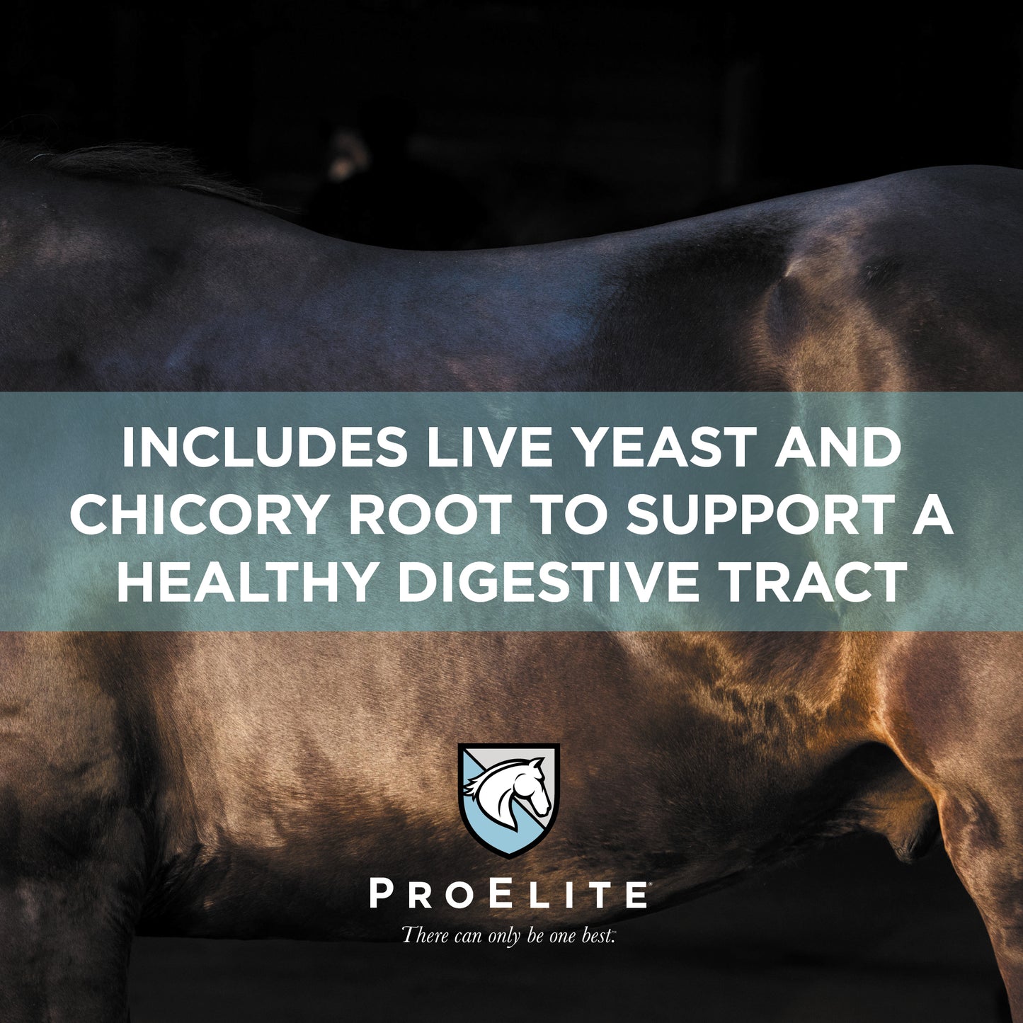 ProElite Soothing Pink Xtra Strength - 3lbs