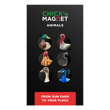 Chick'n Magnet