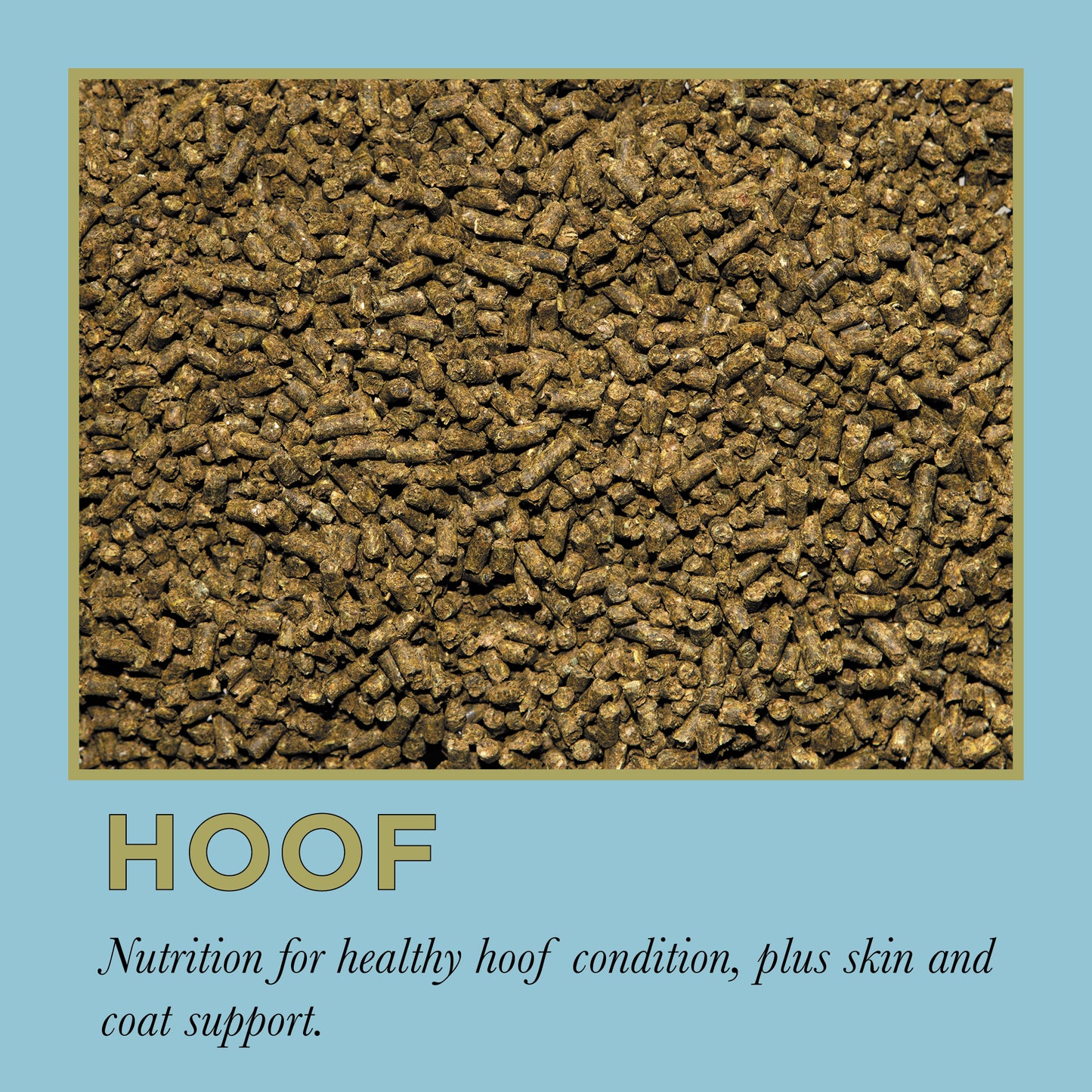 ProElite Hoof - 3lbs