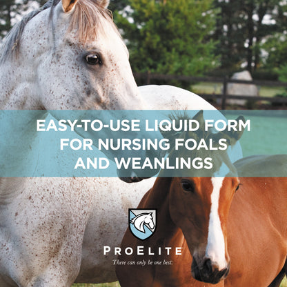 ProElite Rejuvenaide Max Liquid - 3lbs