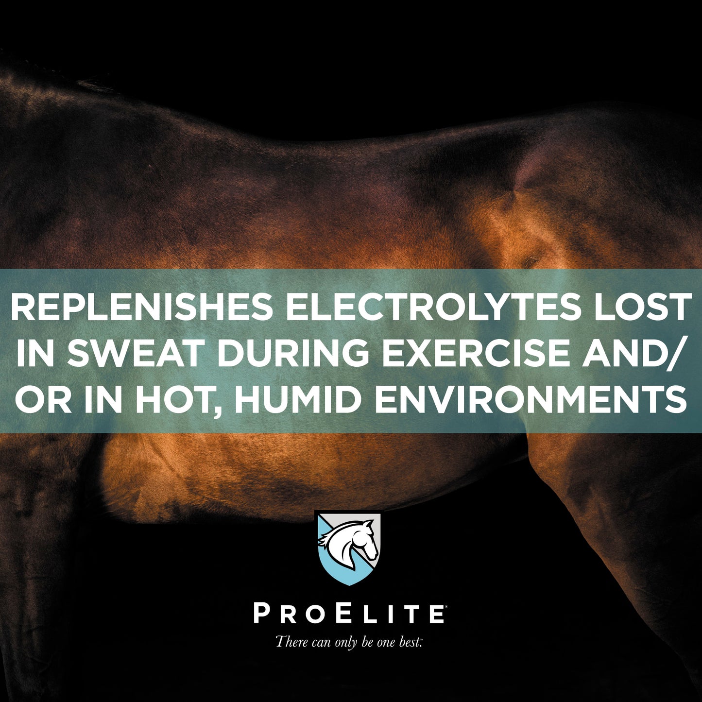 ProElite Sweat - 3lbs