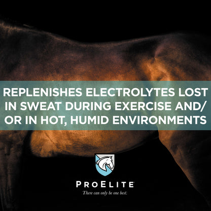 ProElite Sweat - 3lbs