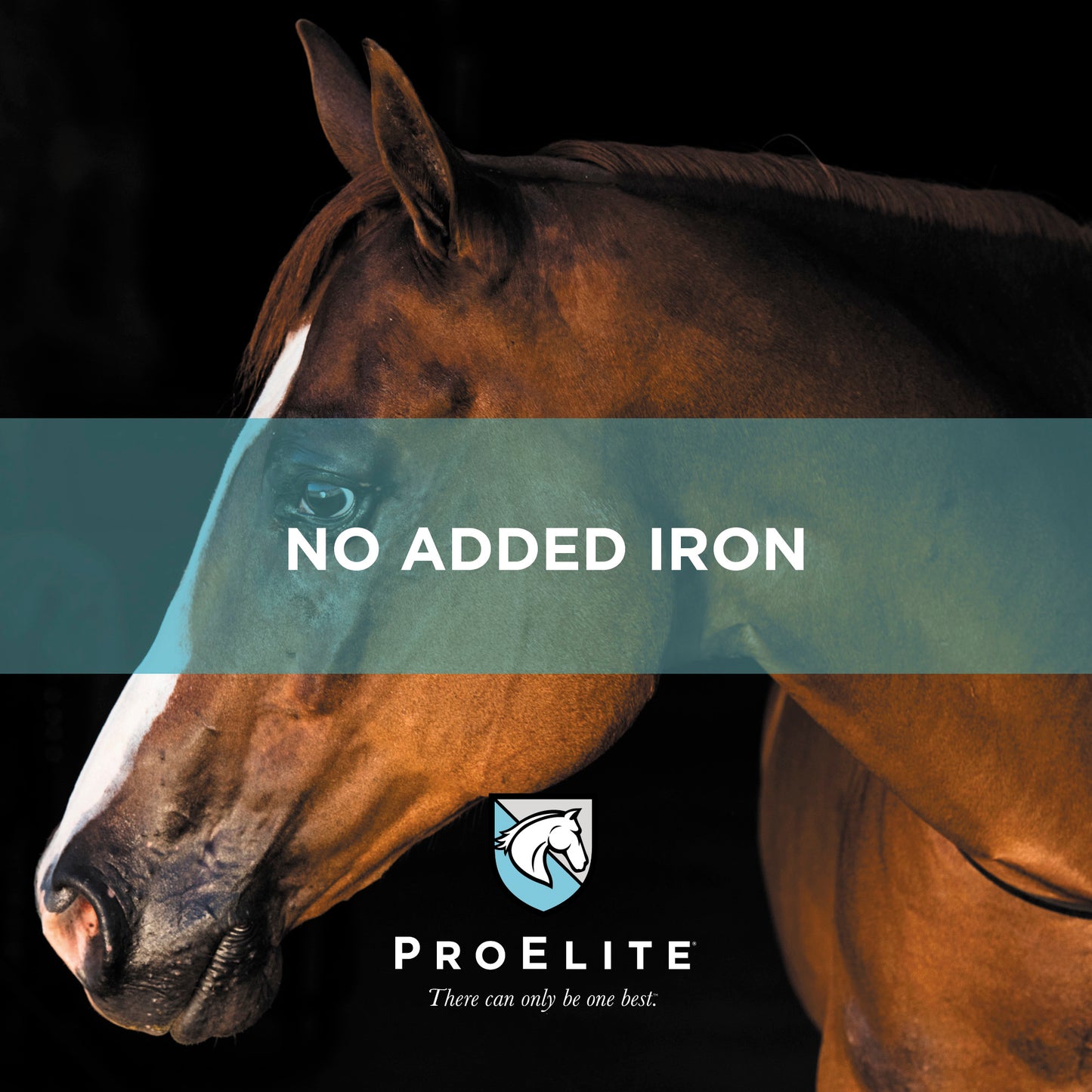 ProElite Elements - 4lbs