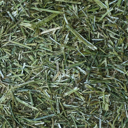 Hand-Selected Alfalfa Forage