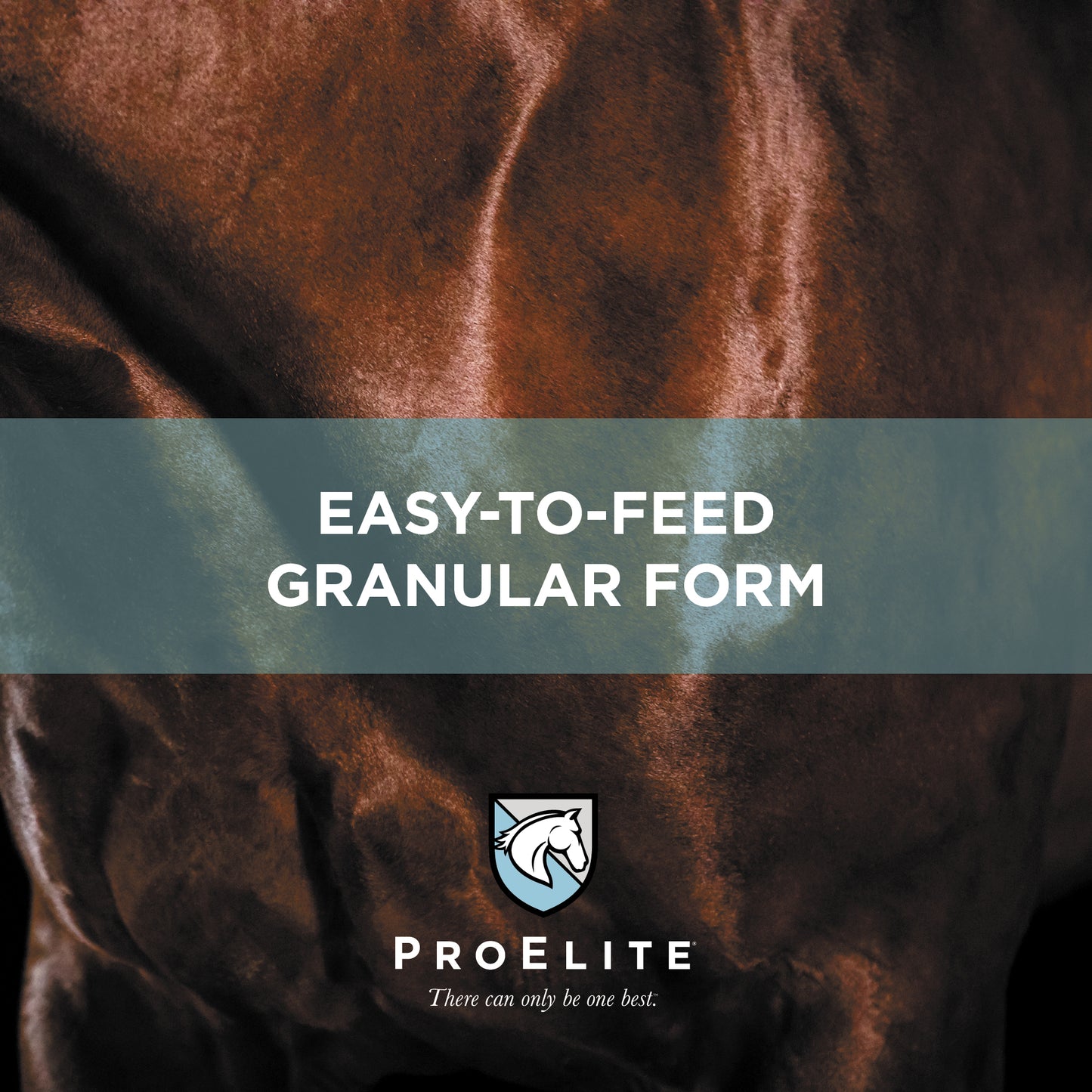 ProElite Top-Line Advanced Support - 2.2lbs