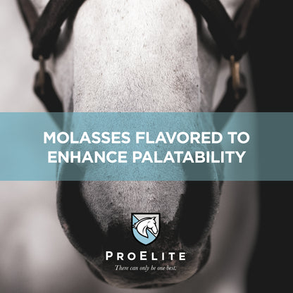 ProElite Rejuvenaide Max Liquid - 3lbs