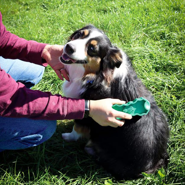 GroomBug Dog Grooming Brush