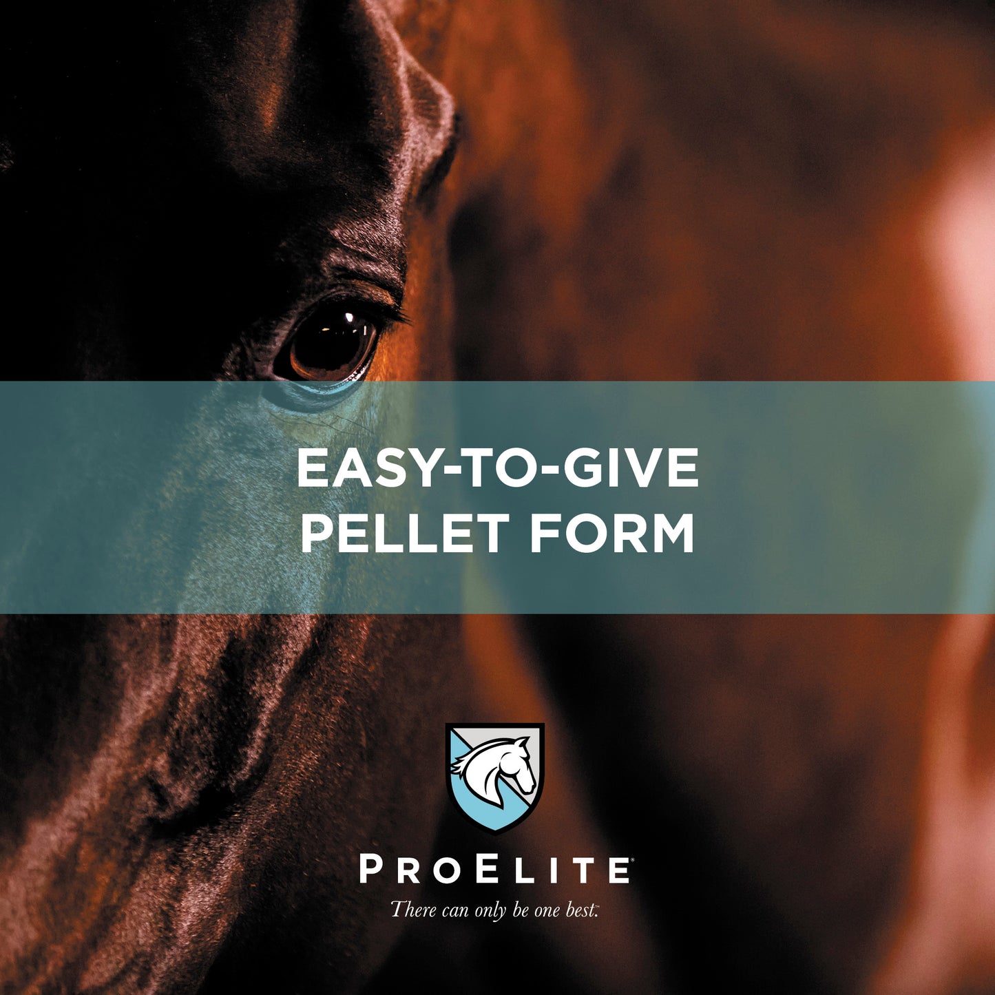 ProElite Calm - 3lbs