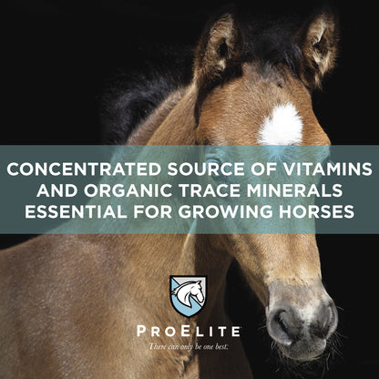 ProElite Rejuvenaide Max Pellet - 3lbs