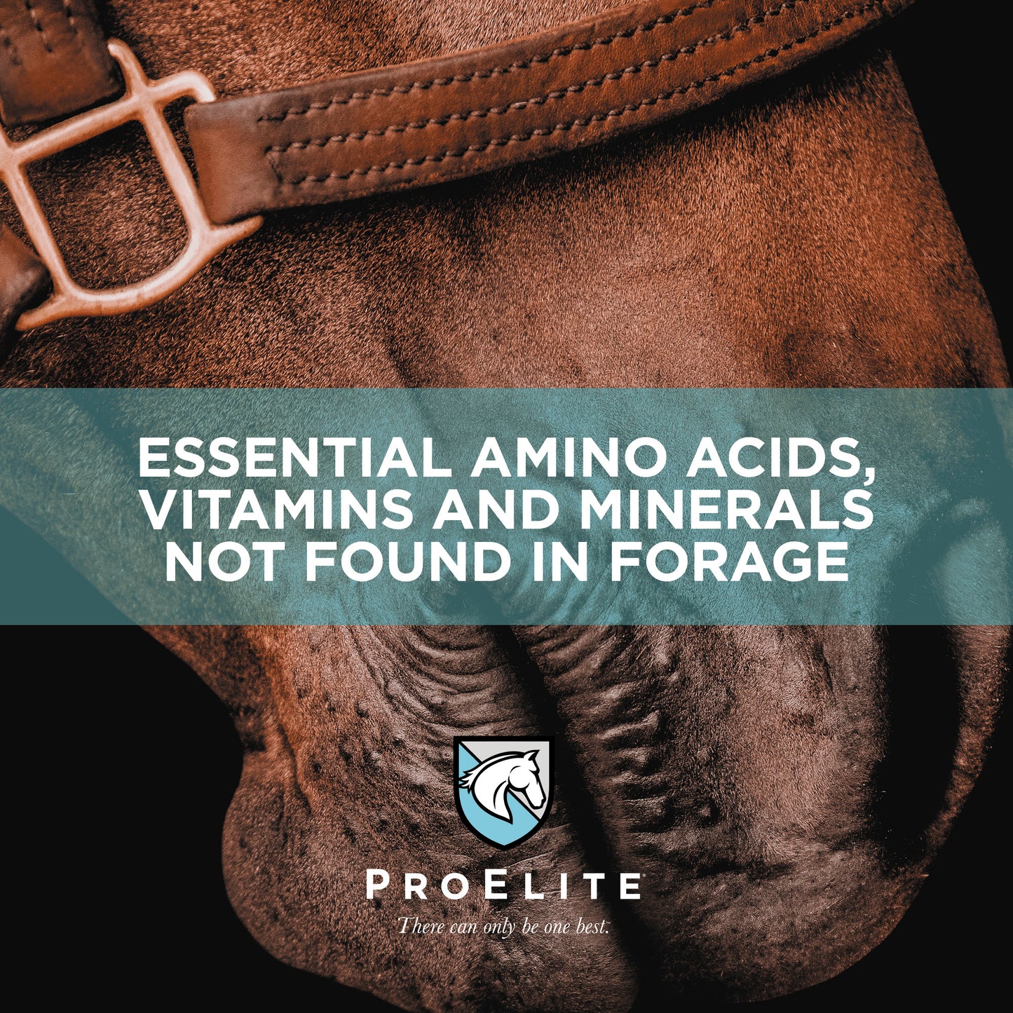 ProElite Elements - 4lbs