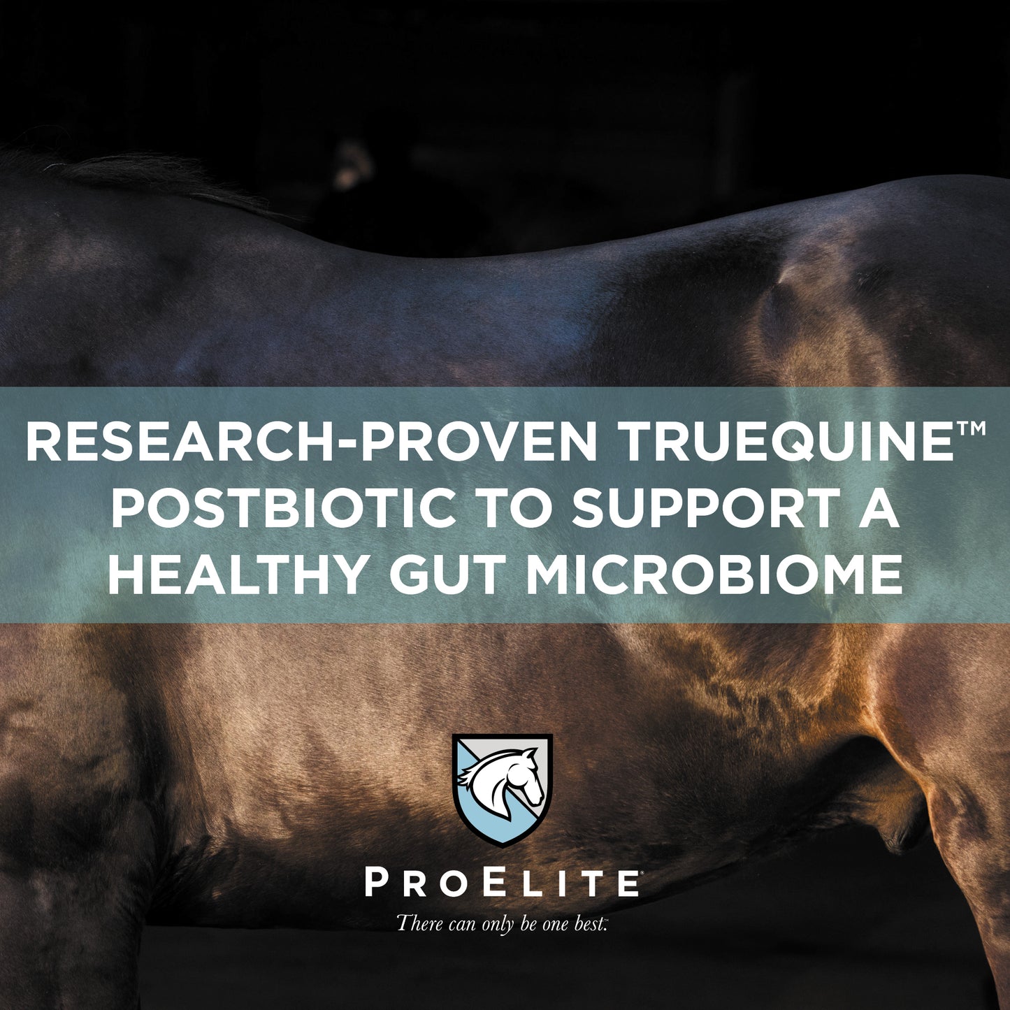 ProElite Gutbiome - 3lbs