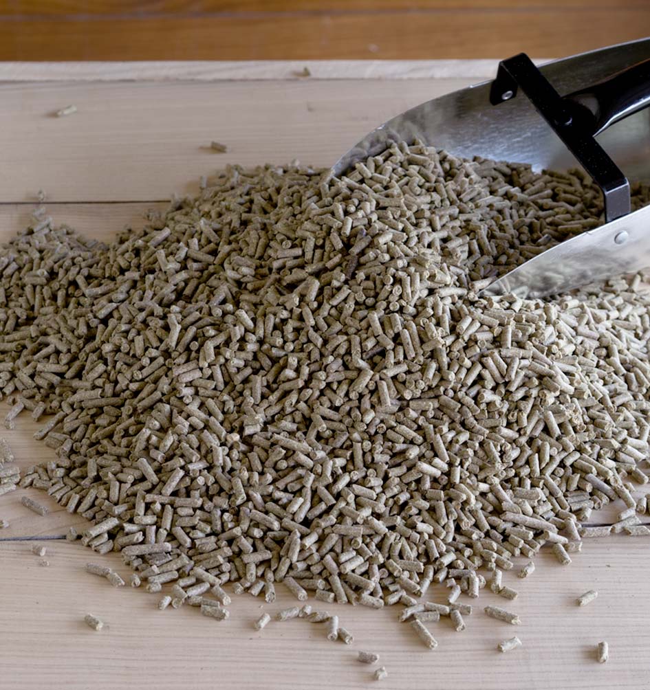 Triple Crown Lite 359V - 50lb