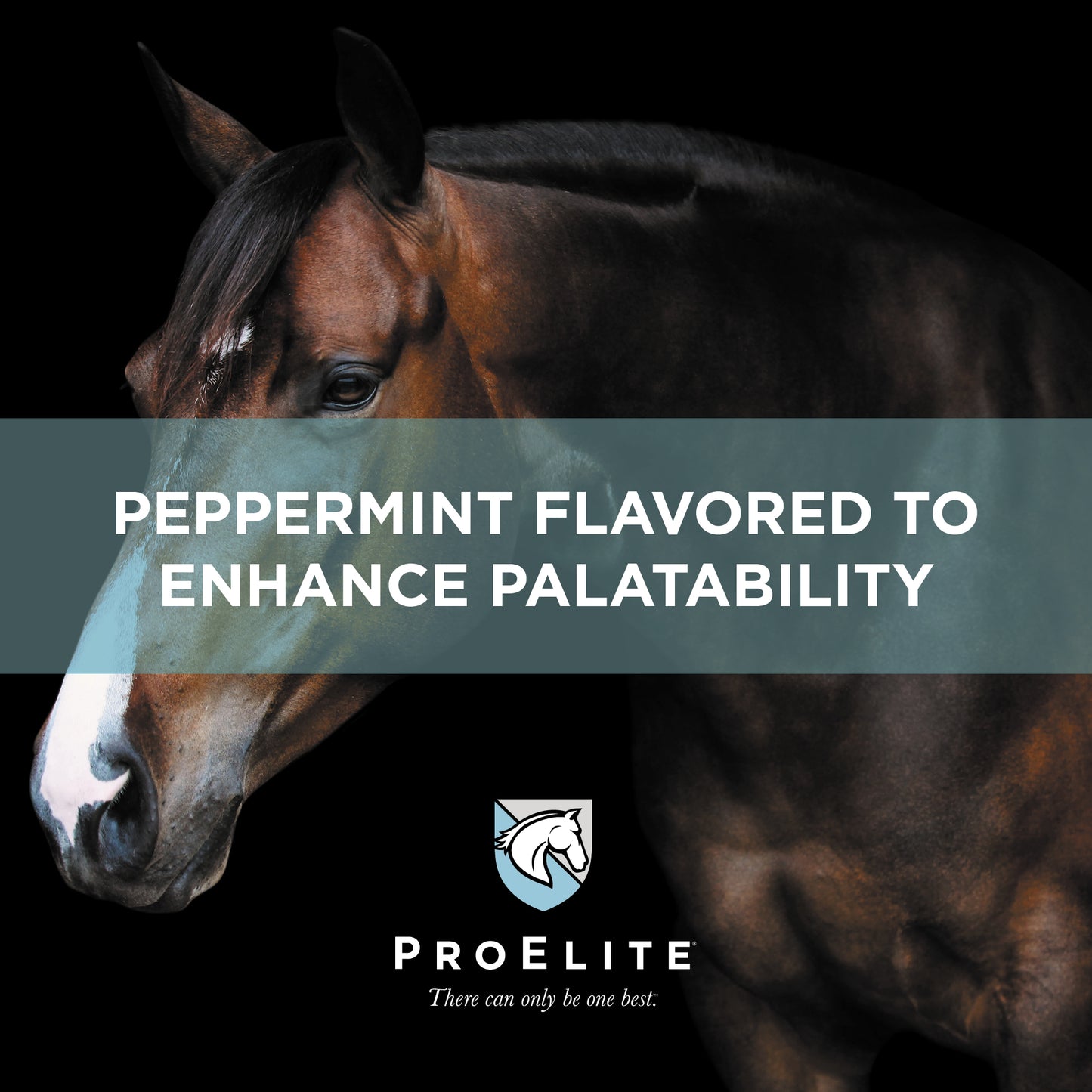 ProElite Hoof - 3lbs