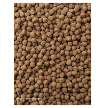 Mazuri Koi Platinum Nuggets 5EE4 - 3.5lb