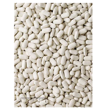 Mazuri Shark & Ray Supplement 0.2g 5MD8 - 6 Bottles Per Case