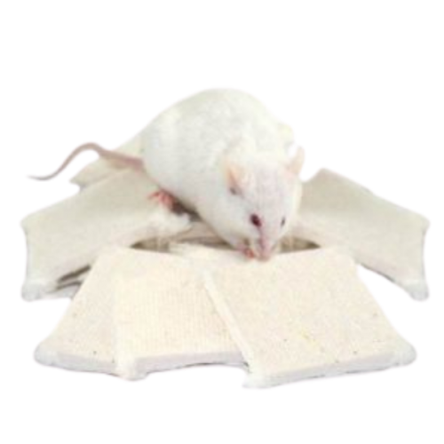 Nestlets - 3600 Per Case – Exotic Animal Supply