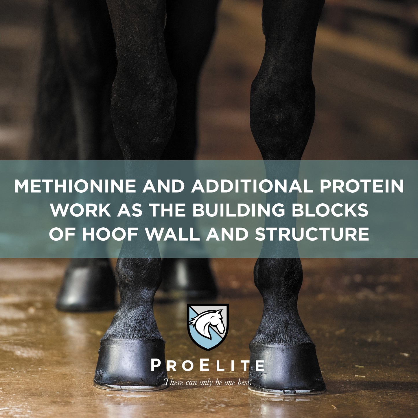 ProElite Hoof - 3lbs