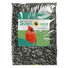 Black Oil Sunflower Seeds for attracting wild birds. 5-lb bag.