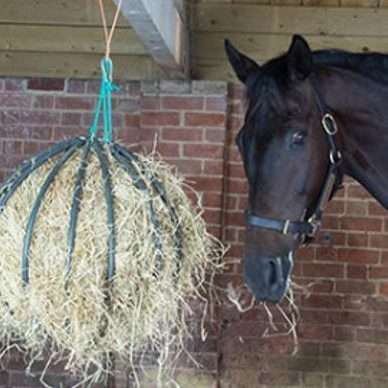 Hayball Enrichment Feeder