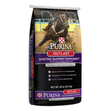 Purina Outlast Gastric Support Supplement