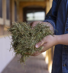 Triple Crown Safe Starch Forage 524V - 40lb