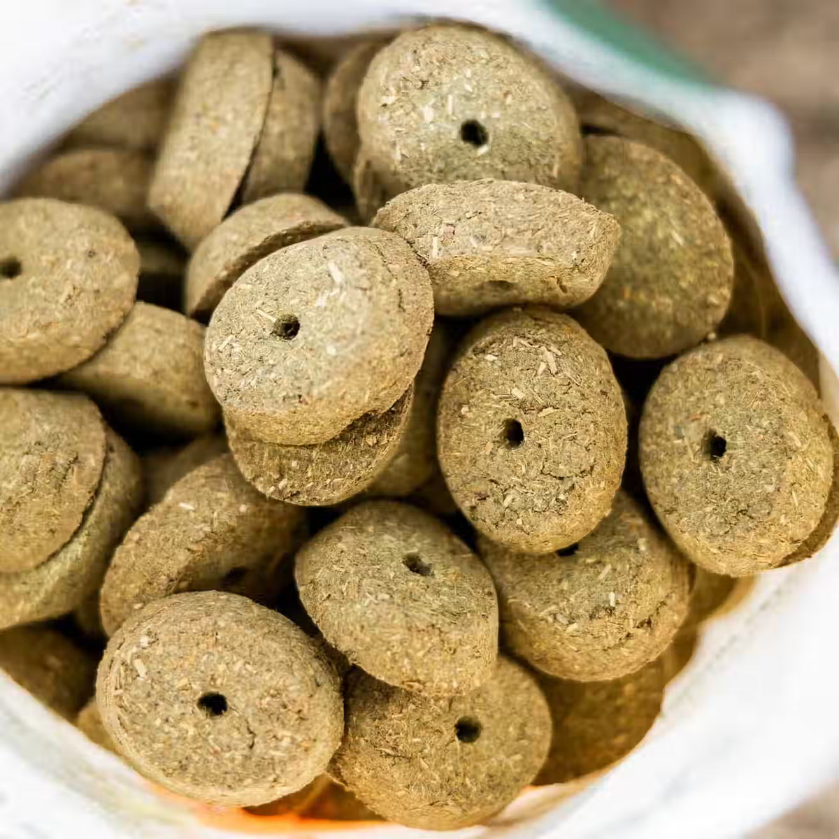NutriBakes - Apple & Pumpkin Horse Treats