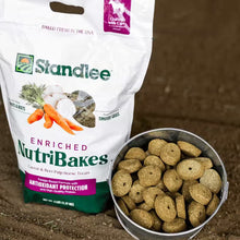 NutriBakes - Carrot & Beep Pulp Horse Treats