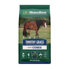 Timothy Grass Mini Cubes