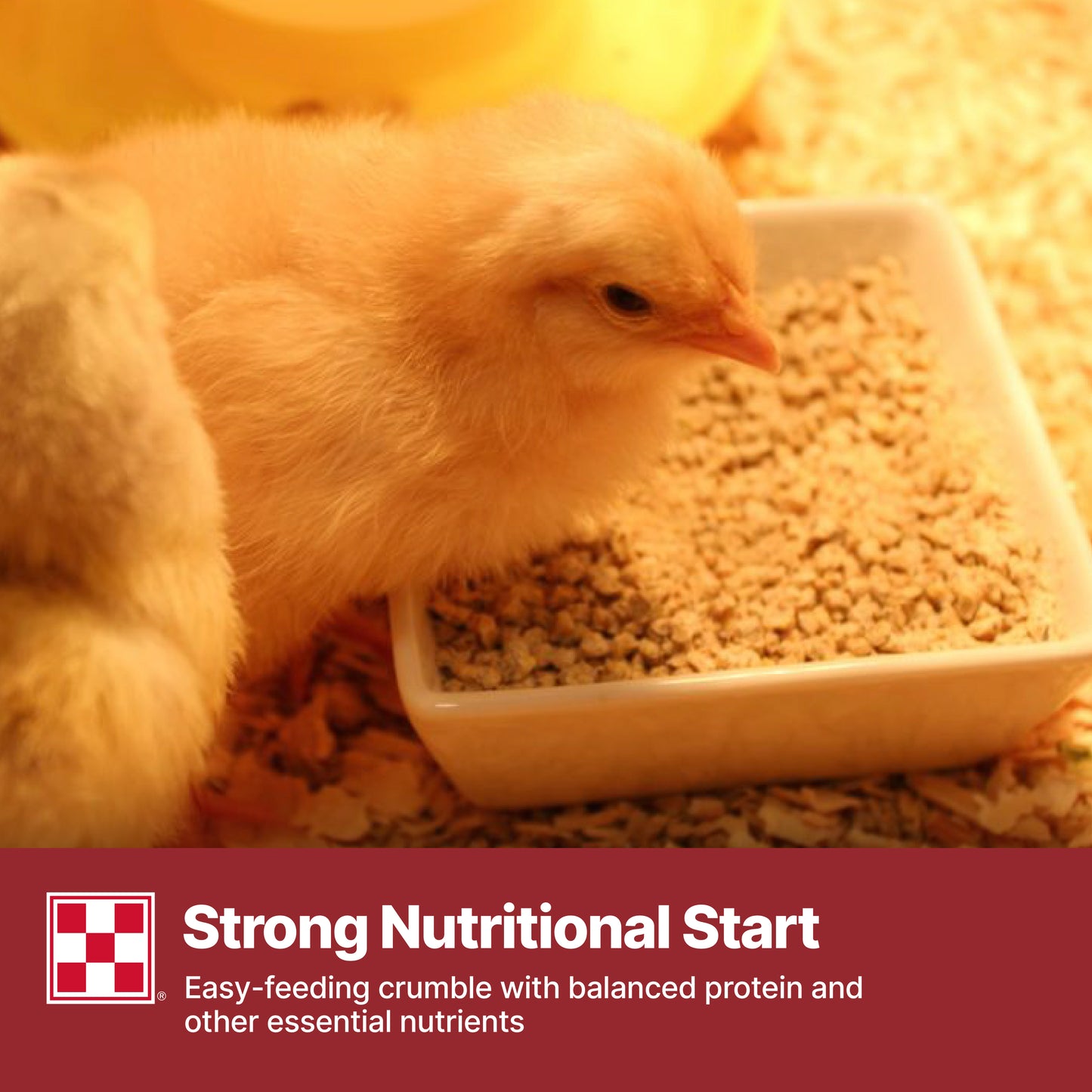 Purina Start & Grow AMP .0125 CR 61R5