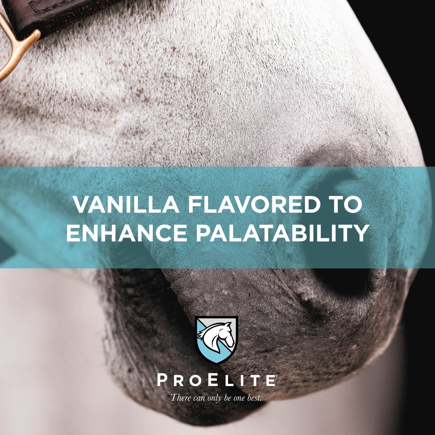 ProElite Elements - 4lbs