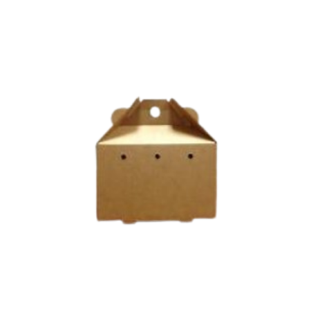 Transbox TransBox, Medium – Exotic Animal Supply