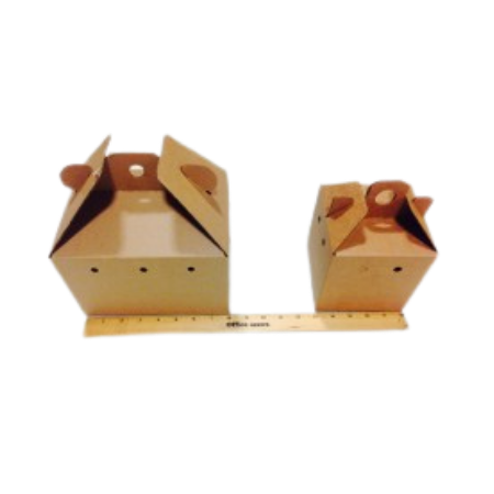 Transbox TransBox, Small – Exotic Animal Supply