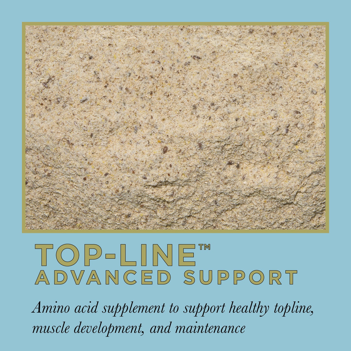 ProElite Top-Line Advanced Support - 2.2lbs