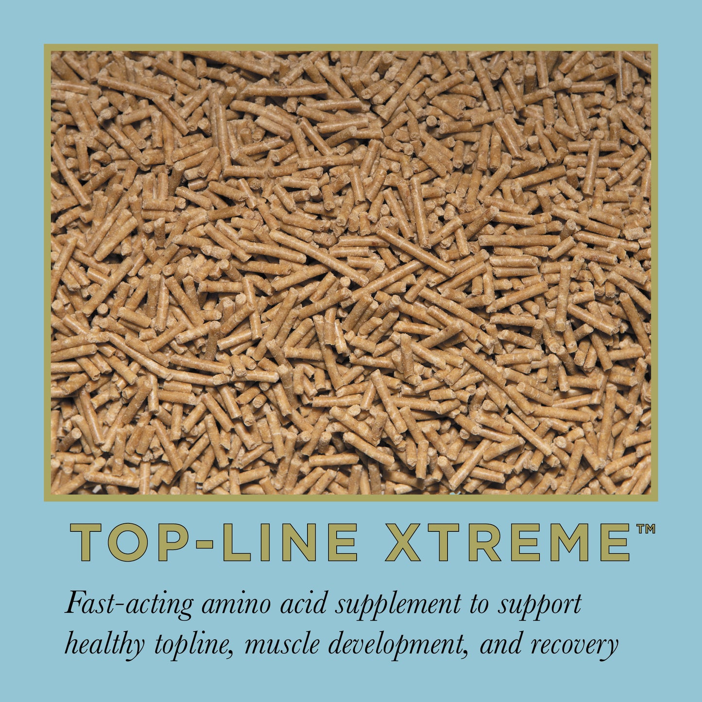ProElite Top-Line Xtreme - 15lbs