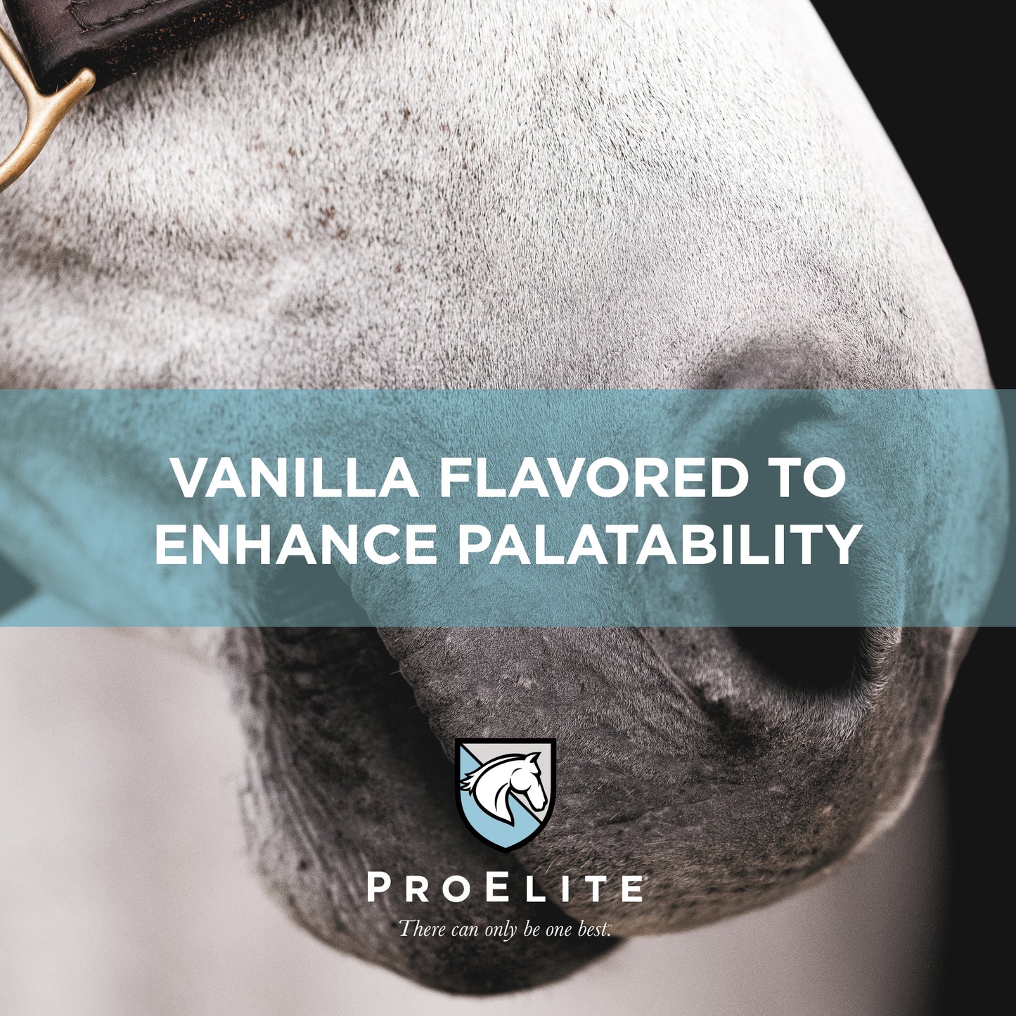 ProElite Top-Line Xtreme - 15lbs