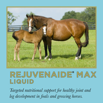 ProElite Rejuvenaide Max Liquid - 3lbs
